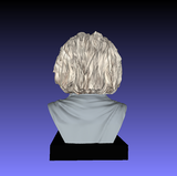 Einstein Bust Figure