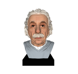 Einstein Bust Figure