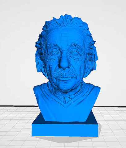 Einstein 3D Model